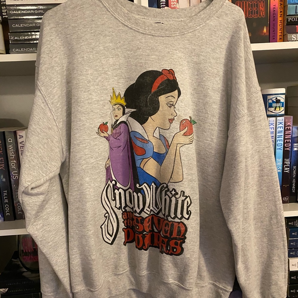 Disney princess sweater duo